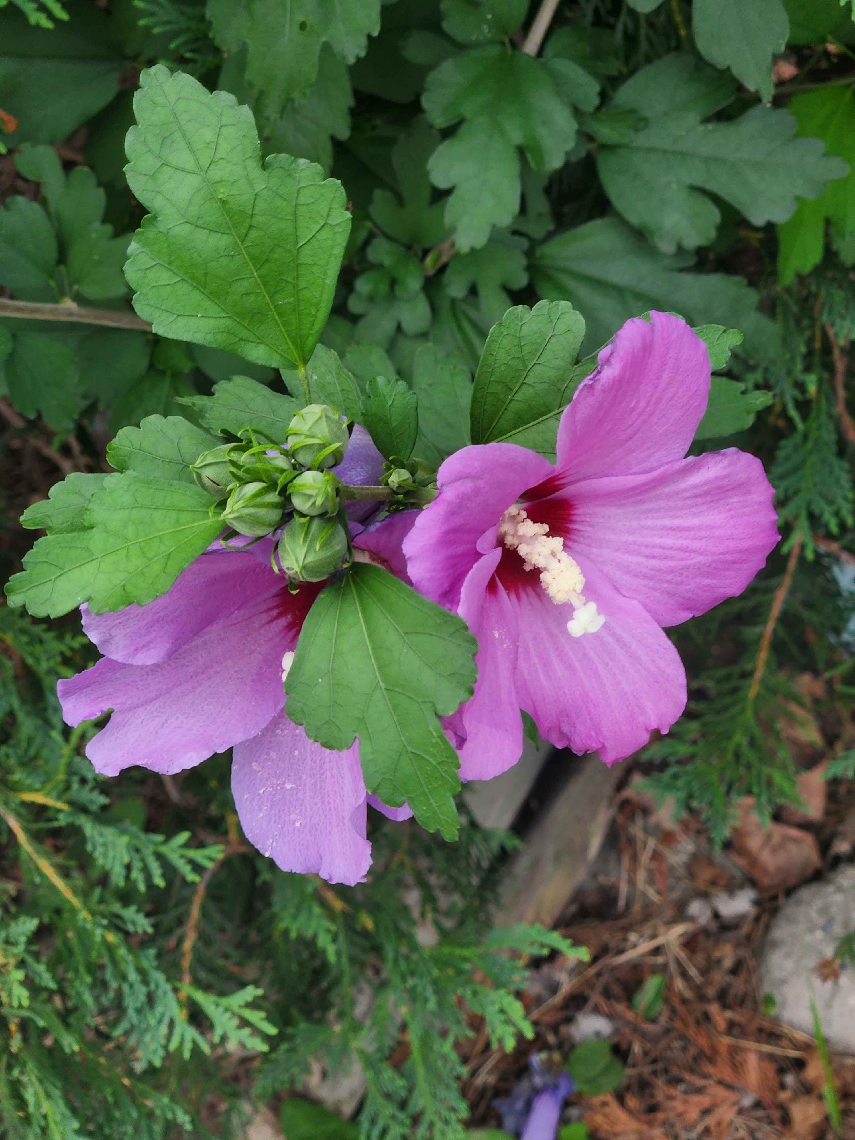 Work, Art, Responsibilities thumbnail